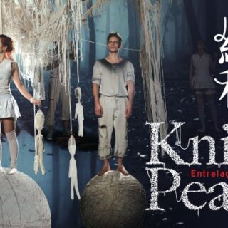 澳門中樂團音樂會《情繫彈撥》