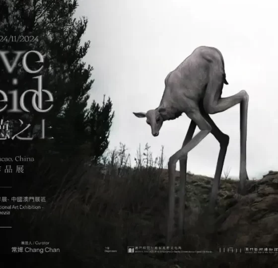 佐貝伊德之上——第六十屆威尼斯國際藝術雙年展澳門作品展